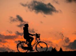 17-Year-Old on Bicycle Hit By Pacific Surfliner